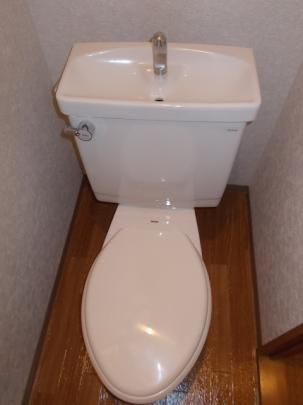 �y���̑��z�@�g�C��