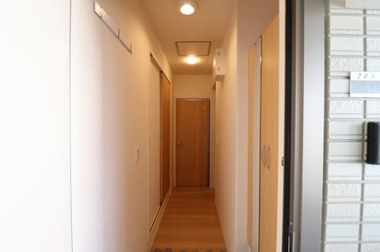 �y���̑��z�@205�@����