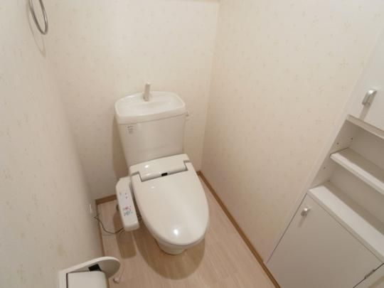 �y���̑��z�@�g�C��