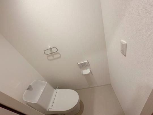 �y���̑��z�@�g�C��