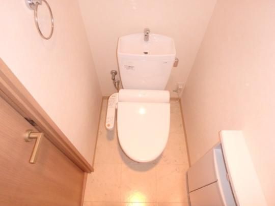 �y���̑��z�@�g�C��