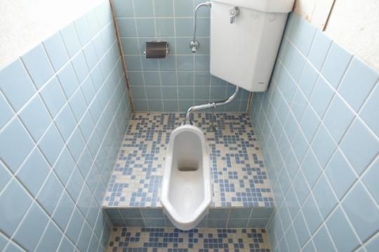�y���̑��z�@�g�C��