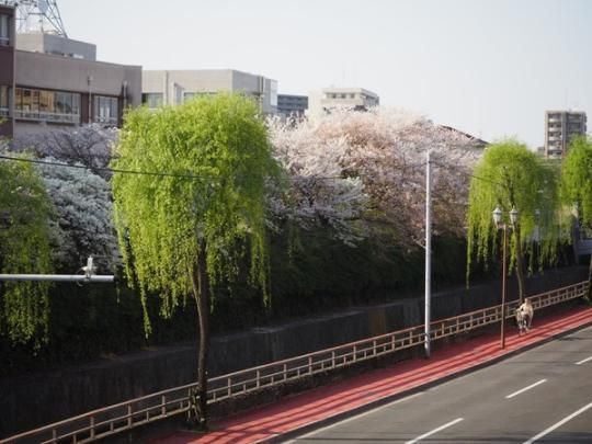 �y���̑��z�@���]