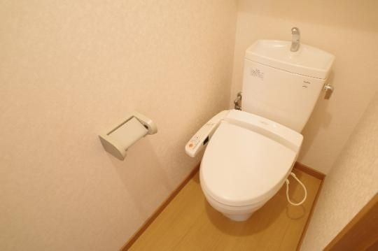 �y���̑��z�@�g�C��