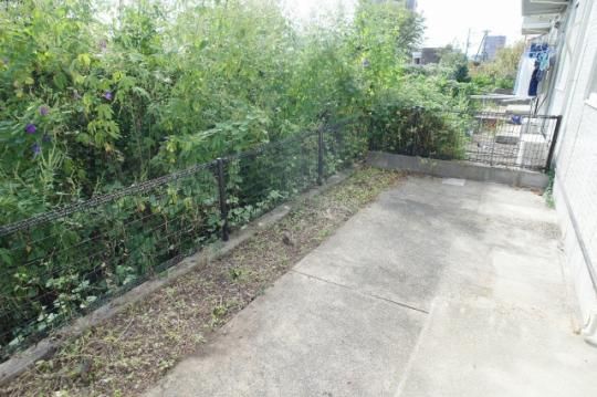 �y���̑��z�@�o���R�j�[