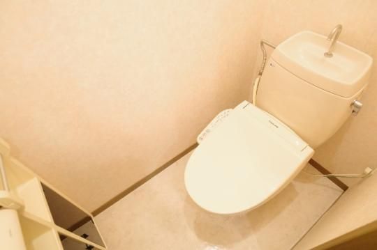 �y���̑��z�@�g�C��