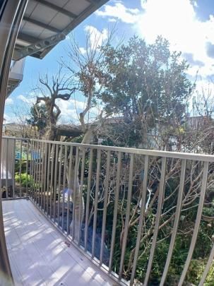 �y���̑��z�@�o���R�j�[