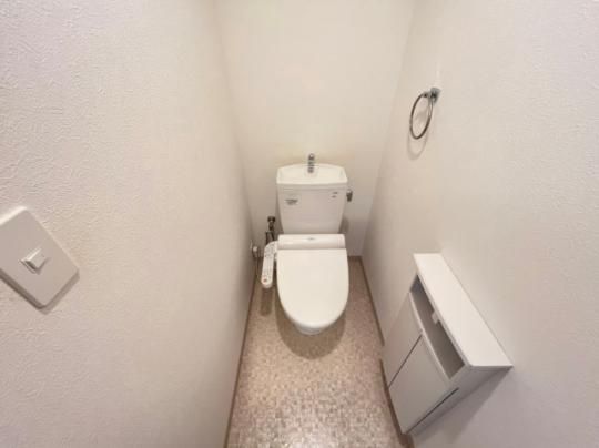 �y���̑��z�@�g�C��