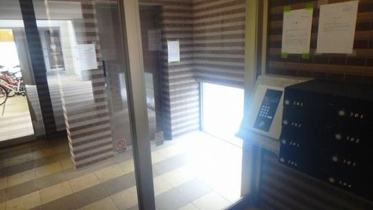 �y�����O�ρz�@���r�[