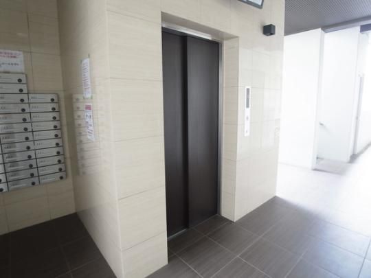 �y�����O�ρz�@���r�[