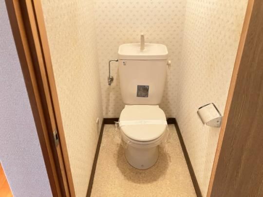 �y���̑��z�@�g�C��