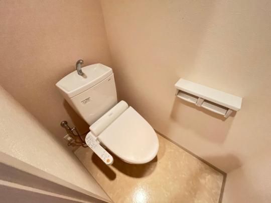 �y���̑��z�@�g�C��