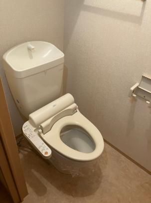 �y���̑��z�@�g�C��