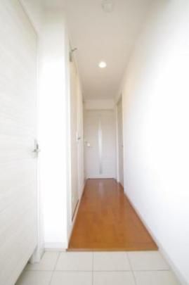 �y���̑��z�@���^�^�C�v