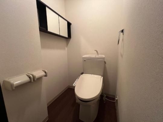 �y���̑��z�@�g�C��