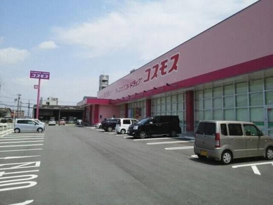 �y���Ӂz�@�h���b�O�X�g�A�R�X���X�ߌ��X�F760m