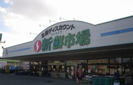 【周辺】　新鮮市場　菊池店：2200m