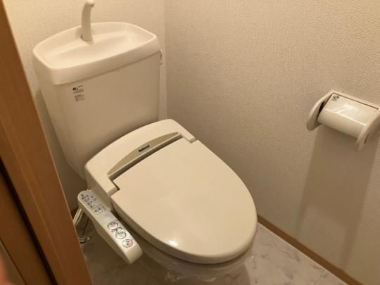 �y���̑��z�@�g�C��