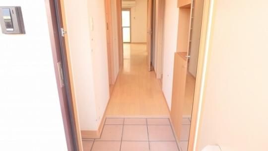 �y���̑��z�@���]�^�C�v�������D��