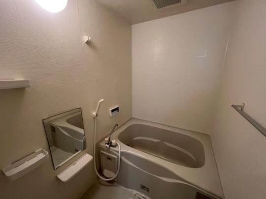 �y���̑��z�@�o�X�^�V�����[