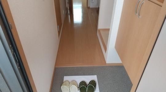 �y���̑��z�@205�@����