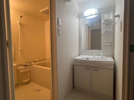 �y���̑��z�@���^�^�C�v�������D��