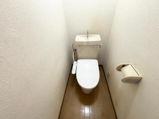 �y���̑��z�@�g�C��