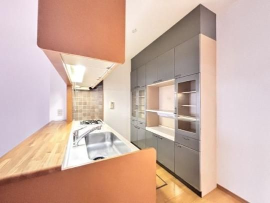 �y���̑��z�@�L�b�`��