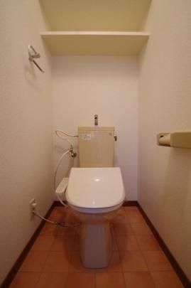 �y���̑��z�@���^���f��