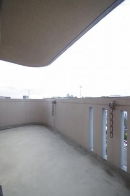 �y���̑��z�@���^���f��