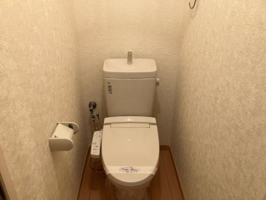 �y���̑��z�@�g�C��