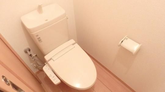 �y���̑��z�@�g�C��