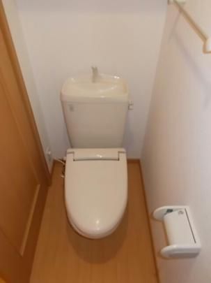 �y���̑��z�@�g�C��
