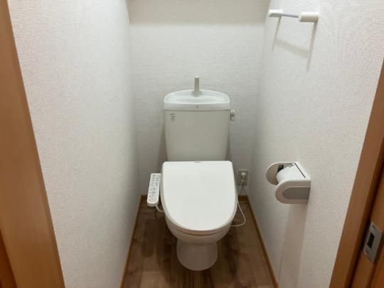 �y���̑��z�@�g�C��