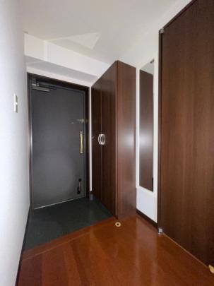 �y���̑��z�@���]�^�C�v