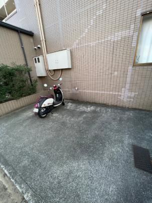yOρz@L