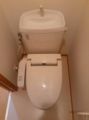 �y���̑��z�@�g�C��