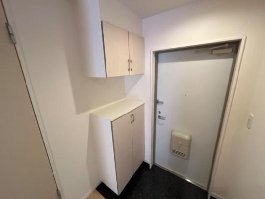 �y���̑��z�@���ʔ�