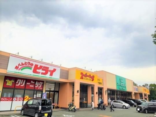 �y���Ӂz�@�~�J�G���F1100m