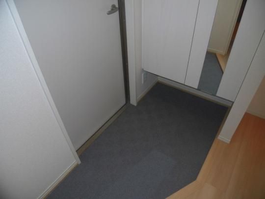 �y���̑��z�@203�@����