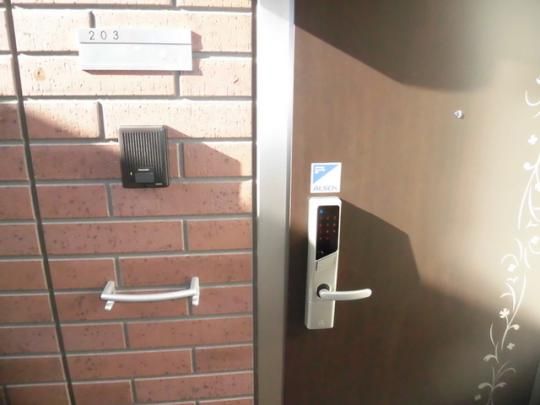 �y���̑��z�@203�@����