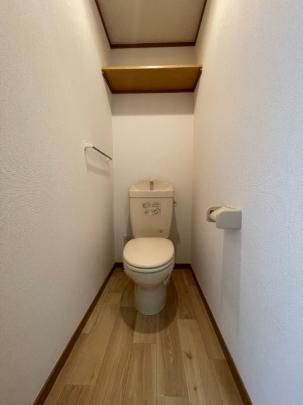 �y���̑��z�@�g�C��