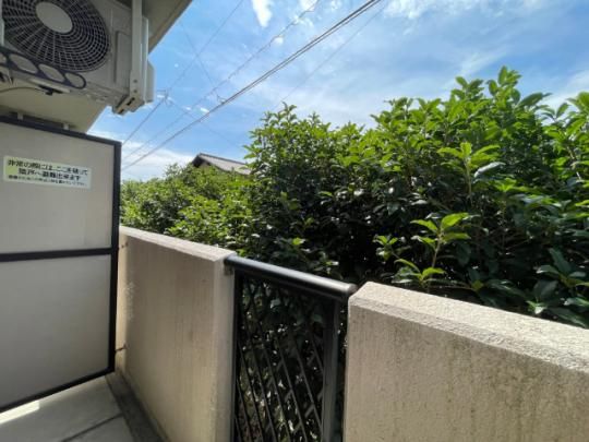 �y���̑��z�@�o���R�j�[