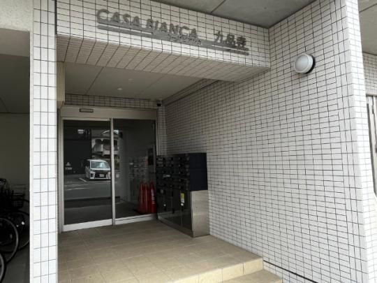 �y�����O�ρz�@�G���g�����X