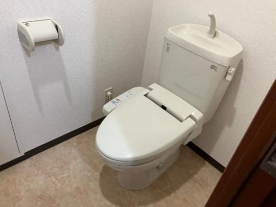 �y���̑��z�@�g�C��