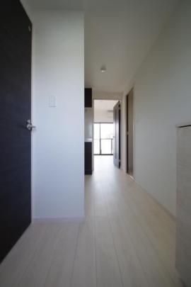 �y���̑��z�@���^�^�C�v�������D��